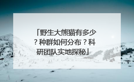 野生大熊猫有多少？种群如何分布？科研团队实地探秘