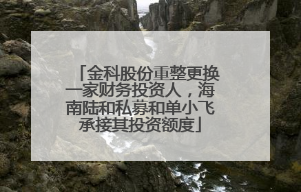 金科股份重整更换一家财务投资人，海南陆和私募和单小飞承接其投资额度