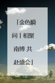 金色瞬间丨相聚南博 共赴盛会