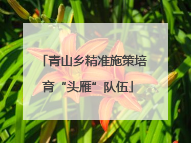 青山乡精准施策培育“头雁”队伍