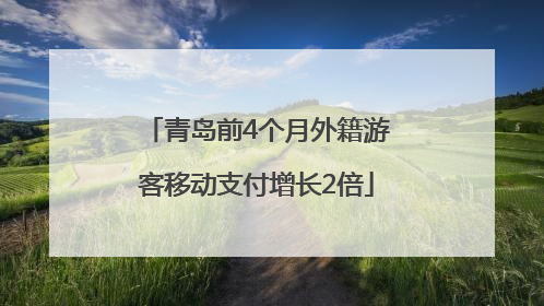 青岛前4个月外籍游客移动支付增长2倍