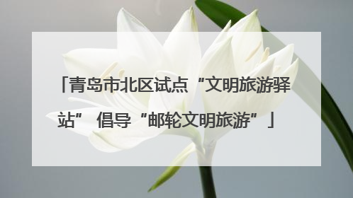 青岛市北区试点“文明旅游驿站” 倡导“邮轮文明旅游”