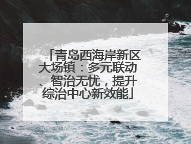青岛西海岸新区大场镇：多元联动、智治无忧，提升综治中心新效能