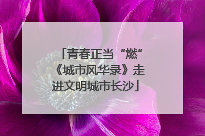 青春正当“燃”《城市风华录》走进文明城市长沙