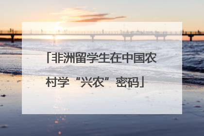 非洲留学生在中国农村学“兴农”密码