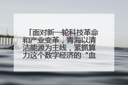面对新一轮科技革命和产业变革，青海以清洁能源为主线，紧抓算力这个数字经济的“血液”、科技主权的“筹码”、产业升级的“杠杆”、绿色转型的“支点”，勇于撬动国家“双碳”战略、“东数西算”工程重大发展新机遇