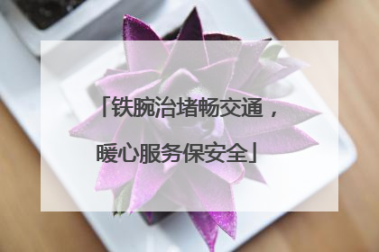 铁腕治堵畅交通，暖心服务保安全