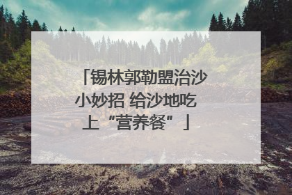 锡林郭勒盟治沙小妙招 给沙地吃上“营养餐”