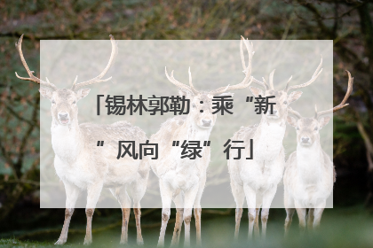 锡林郭勒：乘“新”风向“绿”行