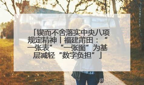 锲而不舍落实中央八项规定精神丨福建莆田：“一张表”“一张图”为基层减轻“数字负担”