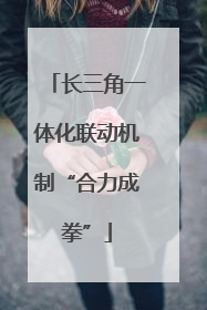 长三角一体化联动机制“合力成拳”