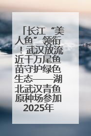 长江“美人鱼”领衔！武汉放流近千万尾鱼苗守护绿色生态——湖北武汉青鱼原种场参加2025年“全国放鱼日”增殖放流活动