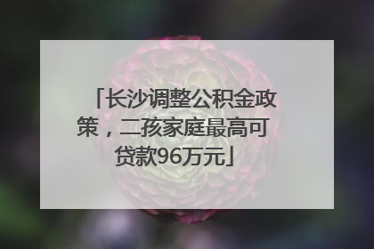 长沙调整公积金政策，二孩家庭最高可贷款96万元