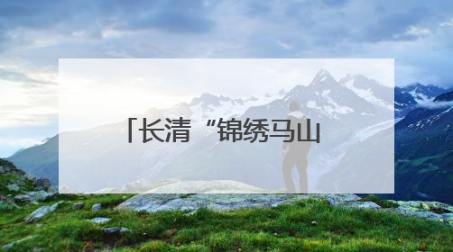 长清“锦绣马山 鲤想田园”片区：四链合一，建设宜居宜业和美乡村