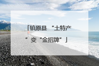 镇原县 “土特产”变“金招牌”