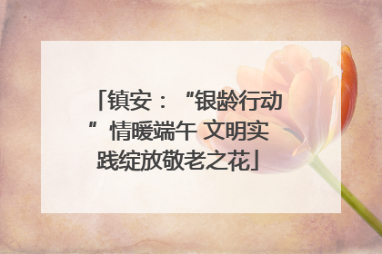 镇安：“银龄行动”情暖端午 文明实践绽放敬老之花
