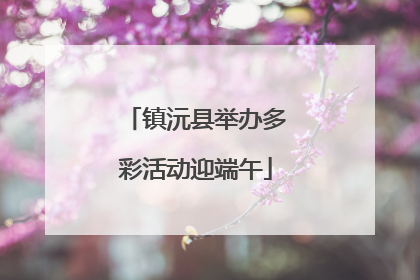 镇沅县举办多彩活动迎端午