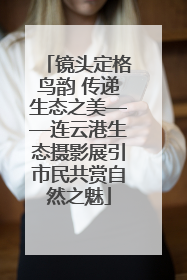 镜头定格鸟韵 传递生态之美——连云港生态摄影展引市民共赏自然之魅
