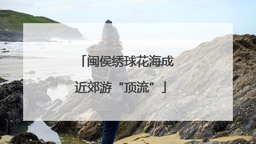 闽侯绣球花海成近郊游“顶流”