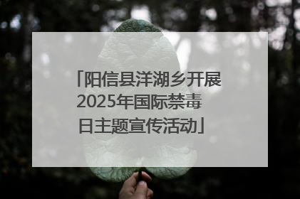 阳信县洋湖乡开展2025年国际禁毒日主题宣传活动