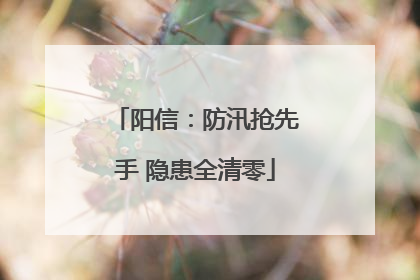阳信：防汛抢先手 隐患全清零
