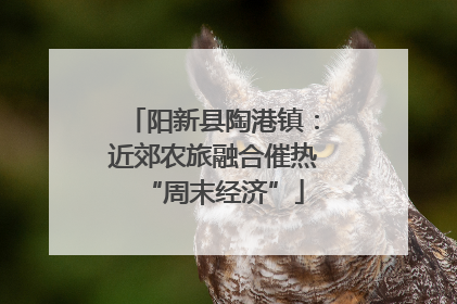 阳新县陶港镇：近郊农旅融合催热“周末经济”