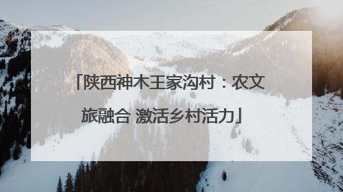 陕西神木王家沟村：农文旅融合 激活乡村活力