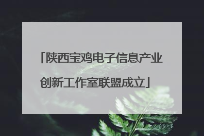 陕西宝鸡电子信息产业创新工作室联盟成立