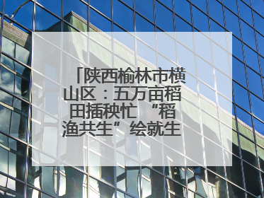 陕西榆林市横山区：五万亩稻田插秧忙 “稻渔共生”绘就生态富民新画卷