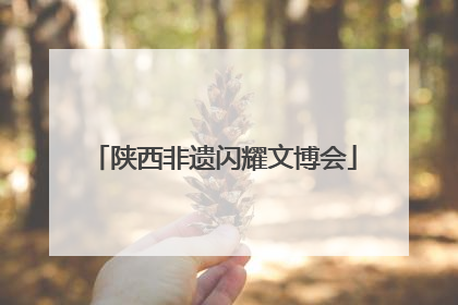 陕西非遗闪耀文博会