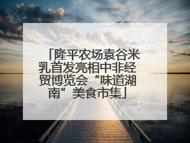 隆平农场袁谷米乳首发亮相中非经贸博览会“味道湖南”美食市集