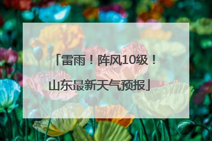 雷雨！阵风10级！山东最新天气预报