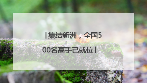 集结新洲，全国500名高手已就位
