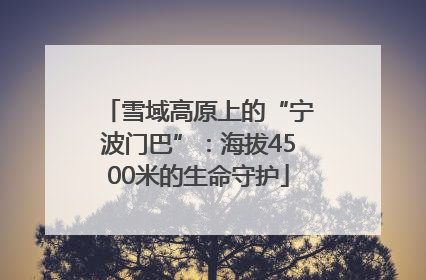 雪域高原上的“宁波门巴”：海拔4500米的生命守护