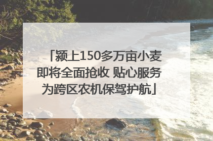 颍上150多万亩小麦即将全面抢收 贴心服务为跨区农机保驾护航