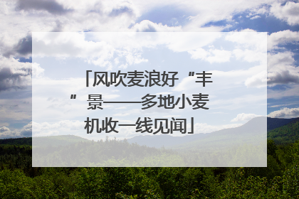 风吹麦浪好“丰”景——多地小麦机收一线见闻