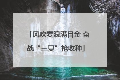 风吹麦浪满目金 奋战“三夏”抢收种