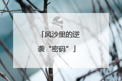 风沙里的逆袭“密码”