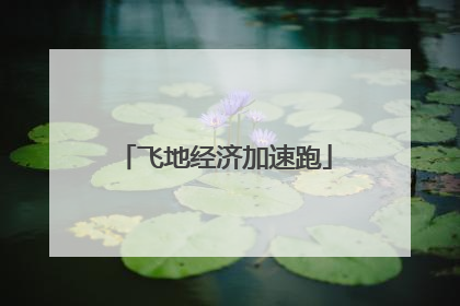 飞地经济加速跑
