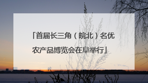 首届长三角（皖北）名优农产品博览会在阜举行