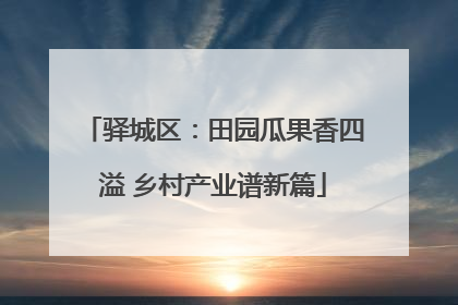 驿城区：田园瓜果香四溢 乡村产业谱新篇