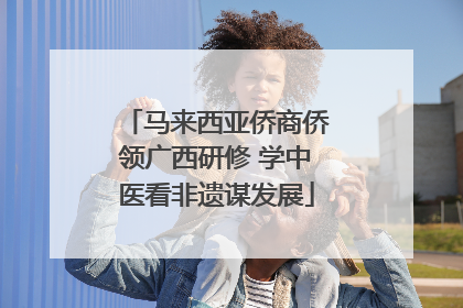 马来西亚侨商侨领广西研修 学中医看非遗谋发展