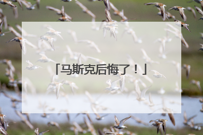 马斯克后悔了！