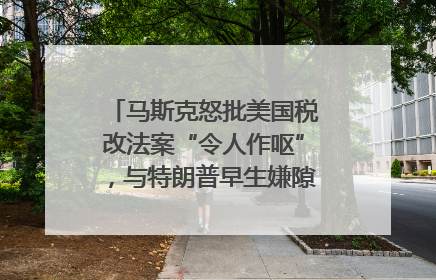 马斯克怒批美国税改法案“令人作呕”，与特朗普早生嫌隙？｜国际识局