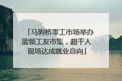 马驹桥零工市场举办蓝领工友市集，超千人现场达成就业意向