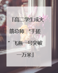 高二学生成火箭总师 “手搓”飞燕一号突破一万米