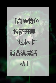 高原特色 拉萨开展“过林卡”消费满减活动