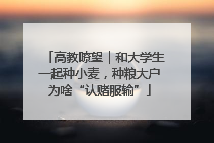 高教瞭望｜和大学生一起种小麦，种粮大户为啥“认赌服输”