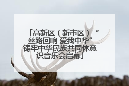 高新区（新市区）“丝路回响 爱我中华”铸牢中华民族共同体意识音乐会启幕