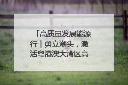 高质量发展能源行｜勇立潮头，激活粤港澳大湾区高质量发展动力源